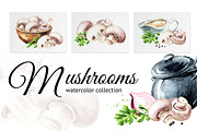 Mushrooms. Watercolor collection