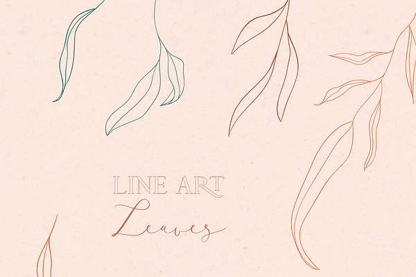 Line drawing leaves illustrations