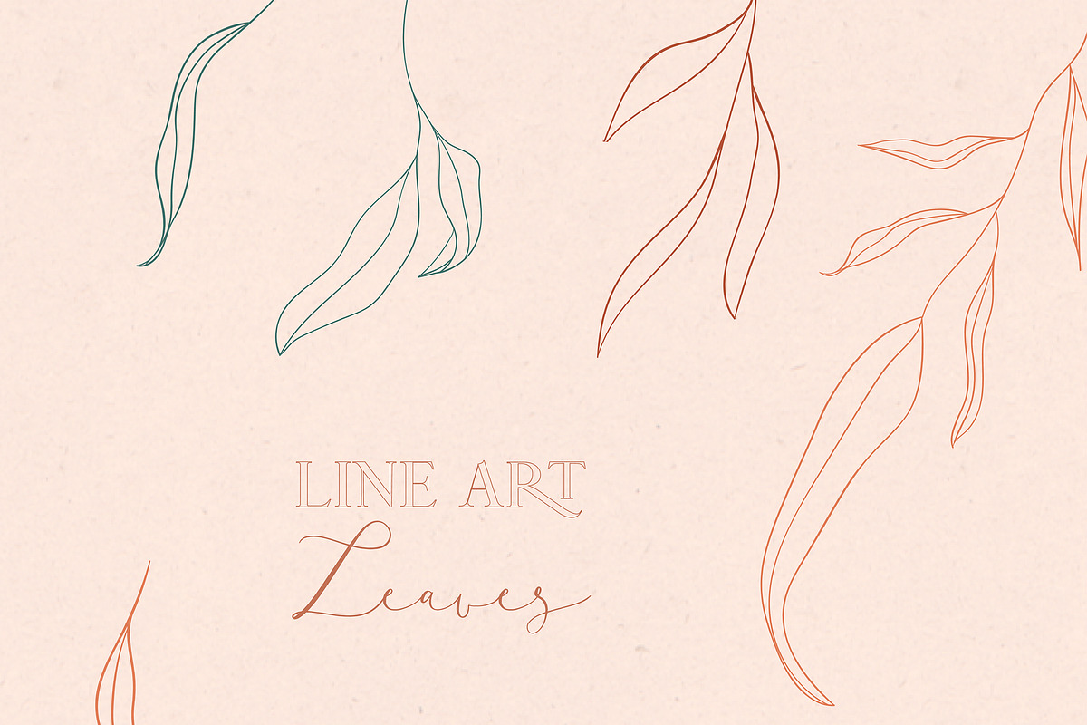 Line drawing leaves illustrations in Illustrations - product preview 8