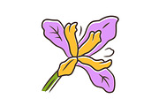 Douglas iris plant purple color icon