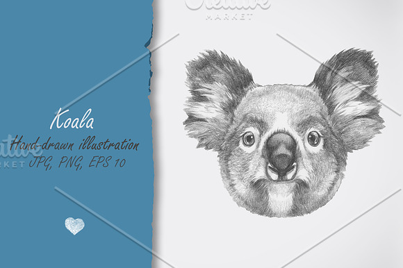 Koala with Sunglasses in Illustrations - product preview 1