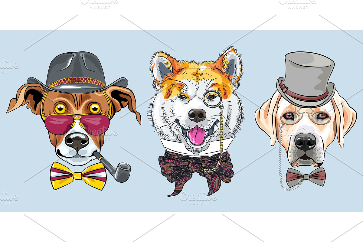 vector Set of cartoon hipster dogs in Illustrations - product preview 8