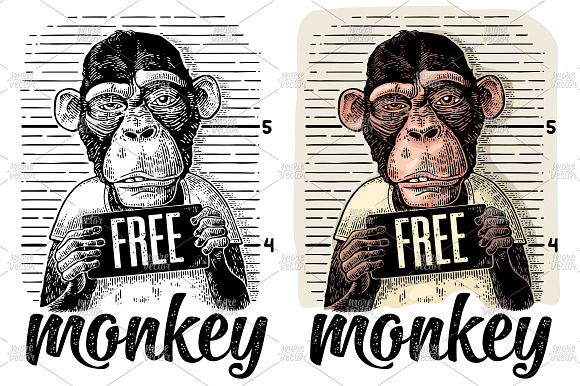 Monkeys police department Engrave in Illustrations - product preview 1