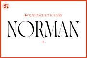 Norman Family 4 Fonts 50% off
