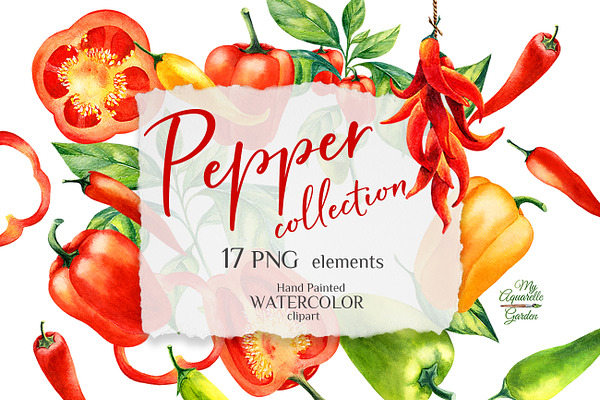 Watercolor pepper collection