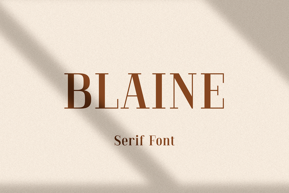 Blaine in Serif Fonts - product preview 8