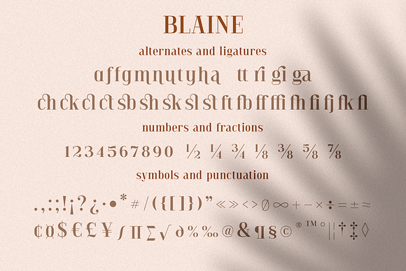 Blaine in Serif Fonts - product preview 10