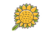 Helianthus yellow color icon