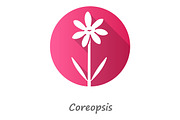 Coreopsis pink flat design icon