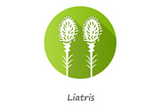 Liatris green flat design glyph icon