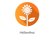 Helianthus orange flat design icon