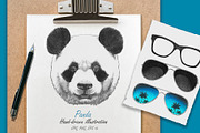Panda // Glasses