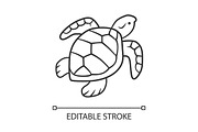Turtle linear icon