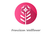 Franciscan wallflower pink icon