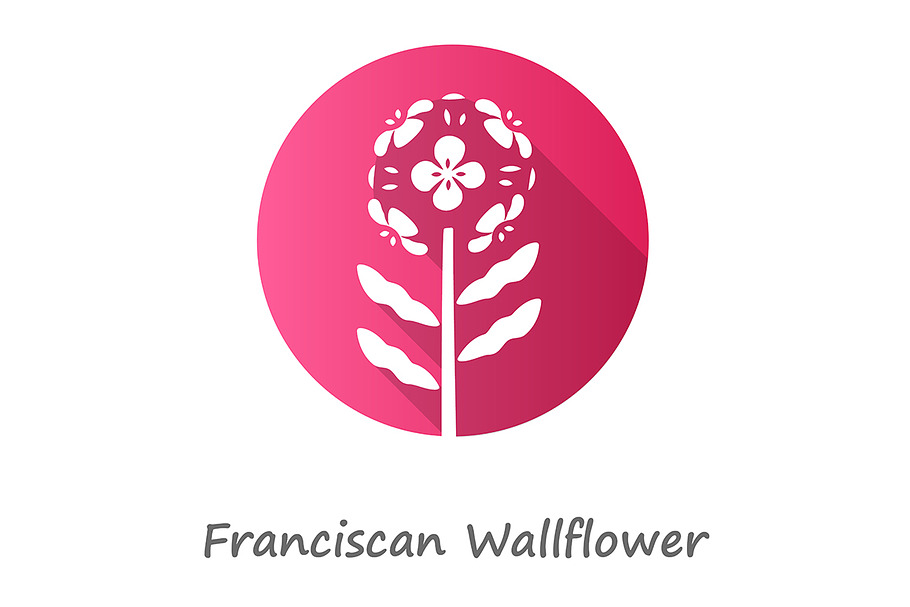 Franciscan wallflower pink icon in Icons - product preview 8