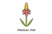 Mexican hat wild flower color icon
