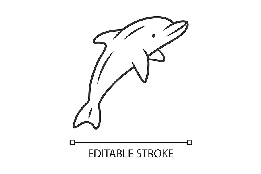 Dolphin linear icon