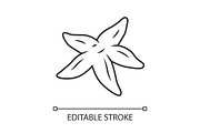 Starfish linear icon