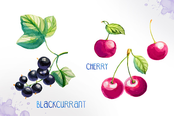 Watercolor berries in Illustrations - product preview 2