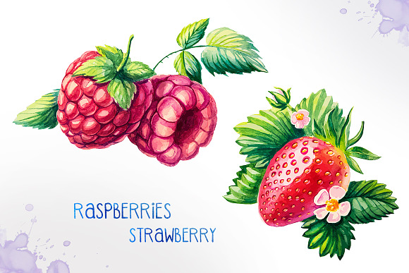 Watercolor berries in Illustrations - product preview 3