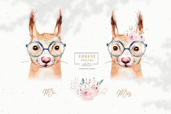 Forest animals portrait. Part III in Illustrations - product preview 3