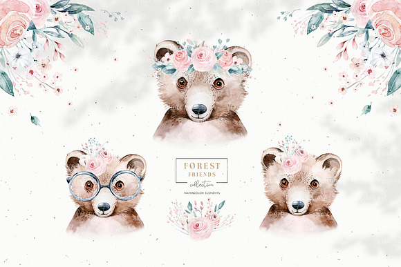 Forest animals portrait. Part III in Illustrations - product preview 4
