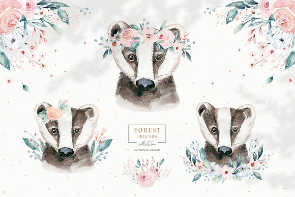 Forest animals portrait. Part III in Illustrations - product preview 5