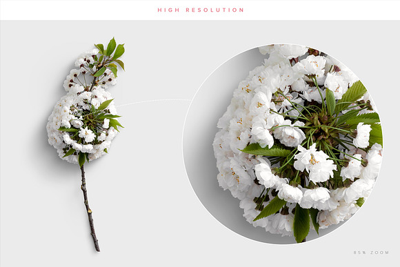 Cherry Blossom Custom Scene Creator in Scene Creator Mockups - product preview 3