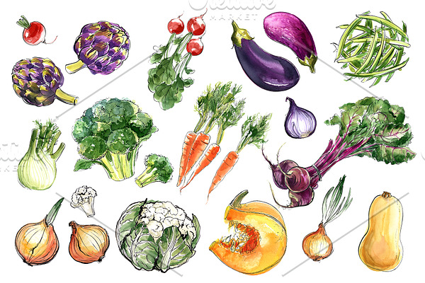 Food watercolor. Vegetables