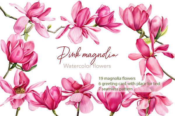 Pink magnolia, watercolor flowers