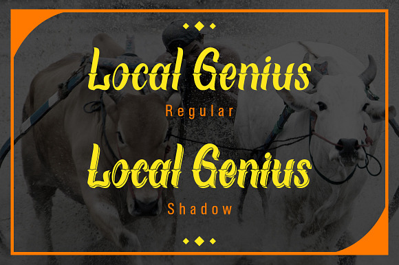 Local Genius in Display Fonts - product preview 1