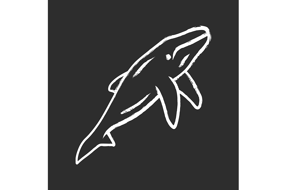 Whale chalk icon