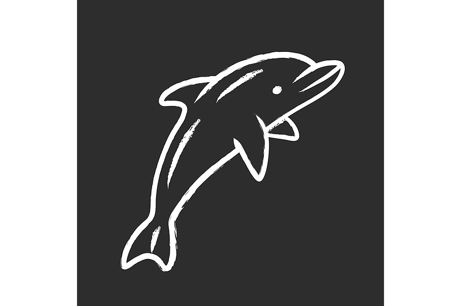 Dolphin chalk icon