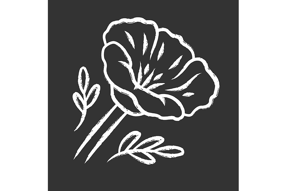 California poppy chalk icon in Icons - product preview 8