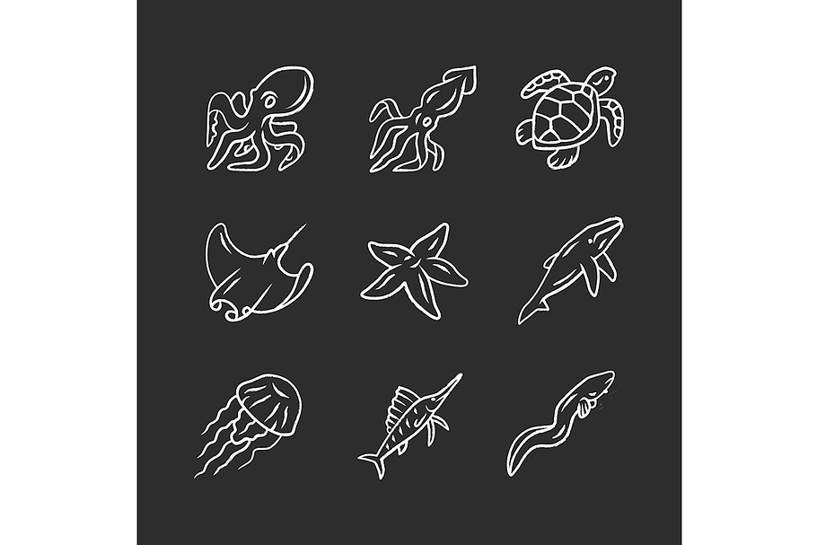 Sea animals chalk icons set in Icons - product preview 8