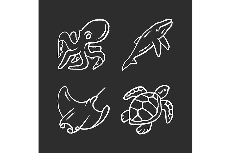Underwater world chalk icons set in Icons - product preview 8