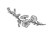 Linen flower sketch vector