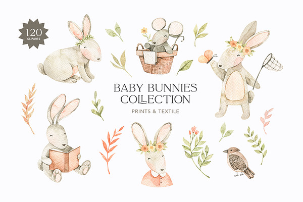 Watercolor baby bunnies collection