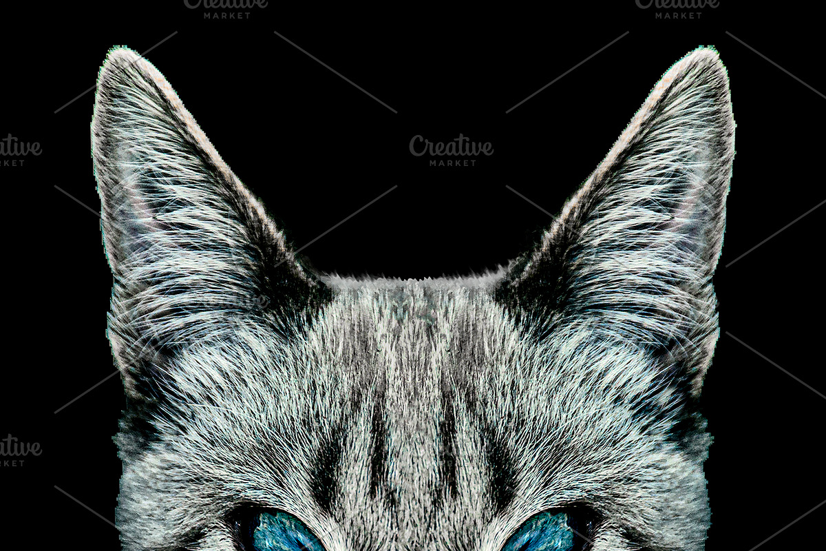Evil Cat Portrait Digital Art in Illustrations - product preview 8