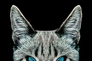 Evil Cat Portrait Digital Art