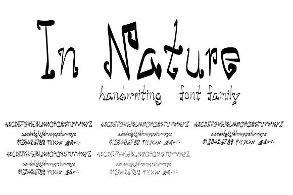 Handwritten Font Bundle in Script Fonts - product preview 13