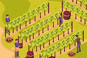 Wine production background
