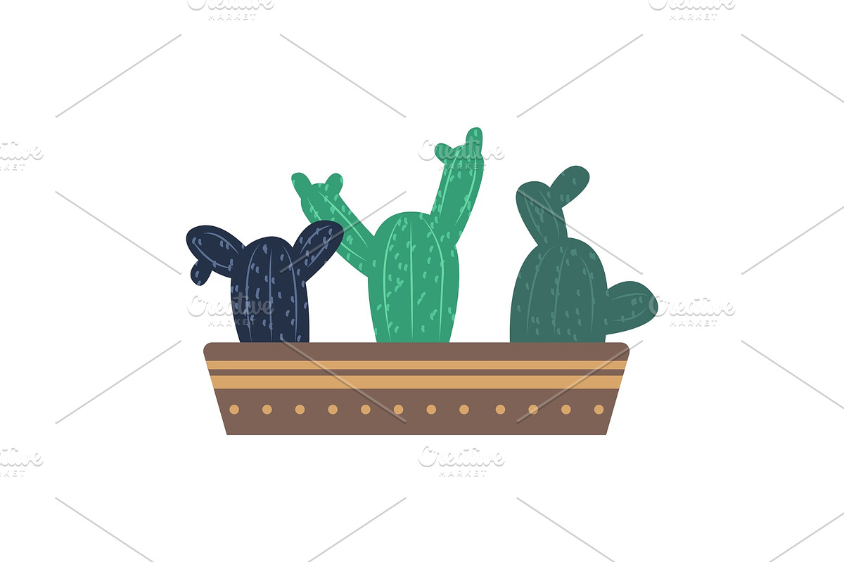 Cactus Growing in One Flowerpot in Illustrations - product preview 8