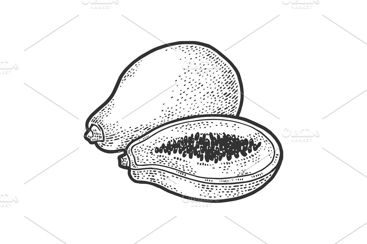 Papaya fruit sketch vector in Illustrations - product preview 8