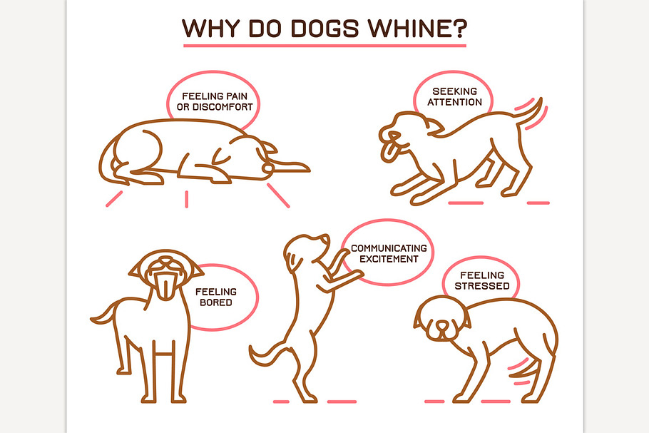 Dog Whining Poster