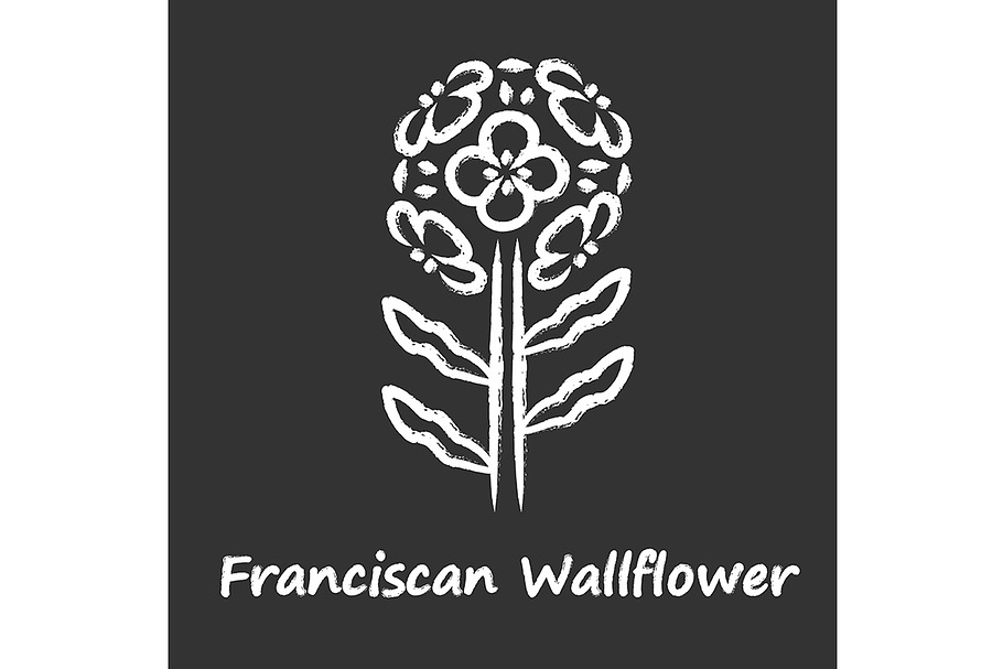 Franciscan wallflower chalk icon in Icons - product preview 8