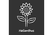 Helianthus chalk icon