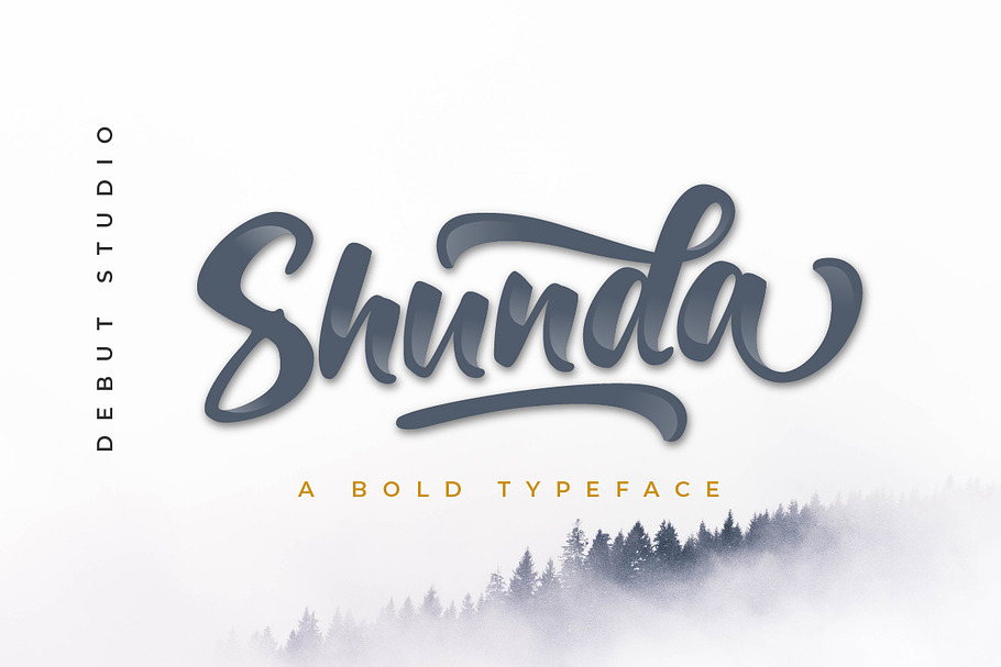 Shunda Typeface in Display Fonts - product preview 8