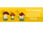 Wild mushrooms banner horizontal