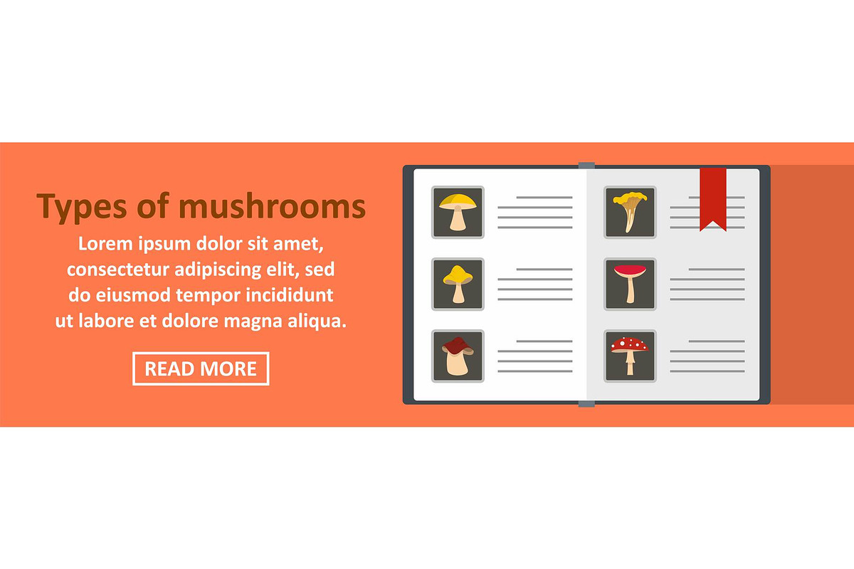 Types of mushrooms banner horizontal in Illustrations - product preview 8
